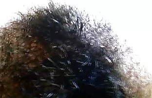 مثير متعرج مع كبير الثدي افلام اجنبيه جنسيه مما يطرح للكاميرا