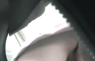 شعر الكلبة الأحمر ينحني افلام اجنبية جنسيه على الشمس المتسكع بجانب المسبح